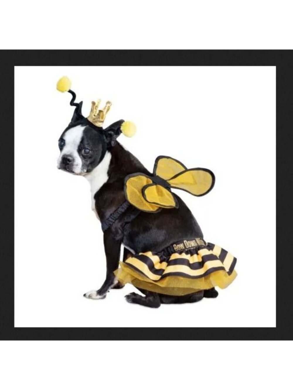 Bootique Dog Costume Bee Royalty Queen Bee Outfit Headband XS Extra Small NWT